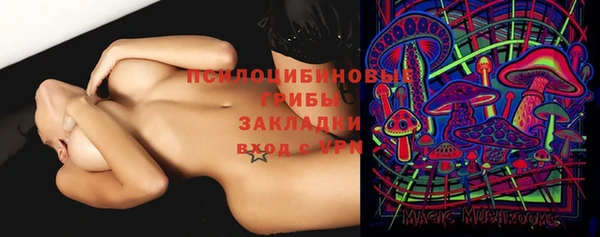 таблы Козловка
