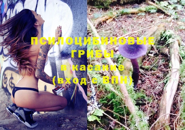 таблы Козловка