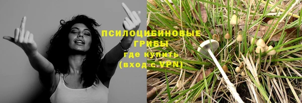 мдма Киреевск