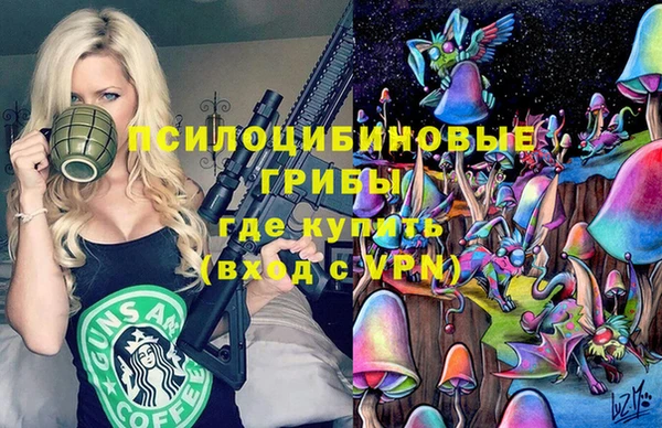 таблы Козловка